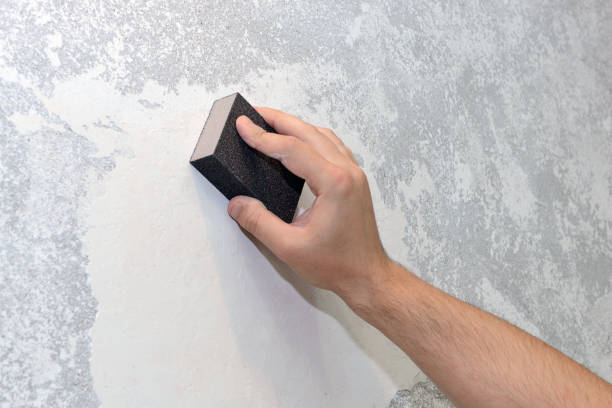 Best Mold Remediation for Healthcare Facilities  in New Richmond, WI