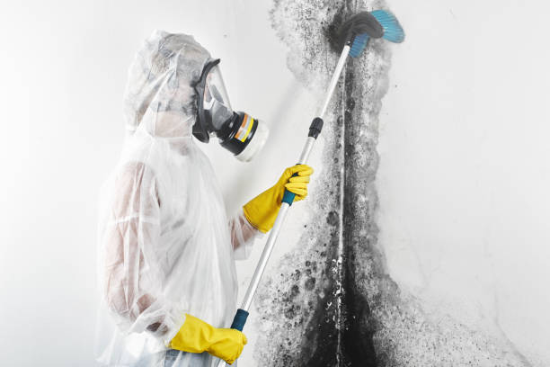 Best Indoor Air Quality Assessment  in New Richmond, WI