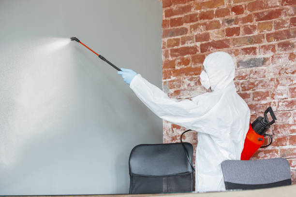Best Comprehensive Air Testing for Mold Contaminants  in New Richmond, WI