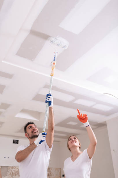 Best Environmental Consulting for Mold Prevention  in New Richmond, WI