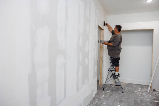 Best Dehumidification Services  in New Richmond, WI