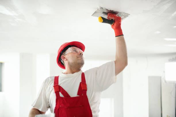 Best Mold Damage Restoration  in New Richmond, WI
