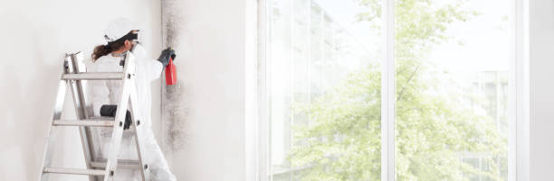 Best Biohazard Mold Removal  in New Richmond, WI
