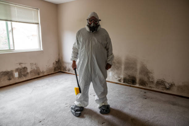 Biohazard Mold Removal in New Richmond, WI