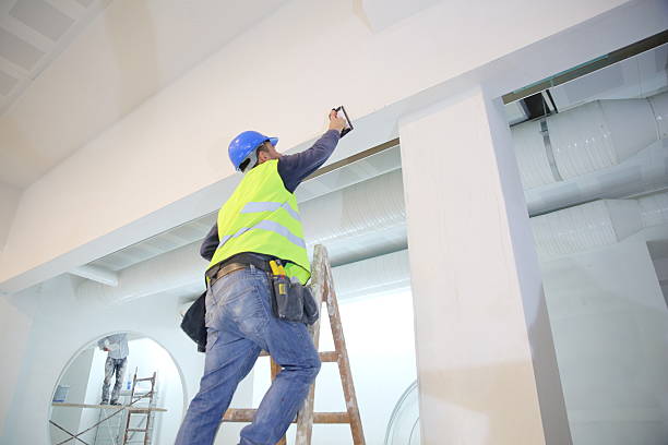 Best Real Estate Mold Inspection  in New Richmond, WI