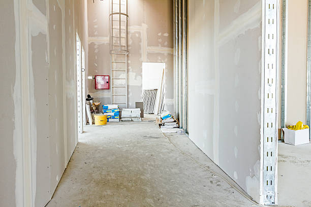 Best Mold-Related Health Consultation  in New Richmond, WI