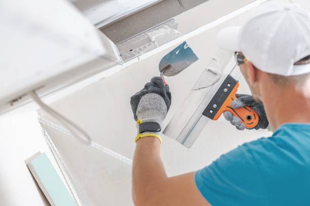 Best Industrial Mold Remediation  in New Richmond, WI
